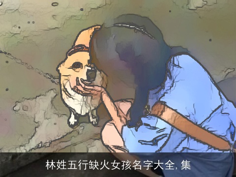 林姓五行缺火女孩名字大全,集