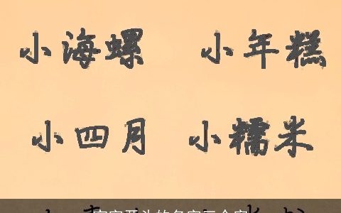 宝字开头的名字三个字