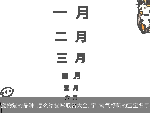 宠物猫的品种 怎么给猫咪取名大全,字 霸气好听的宝宝名字