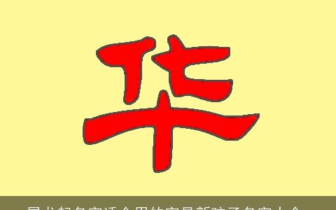 属龙起名字适合用的字最新孩子名字大全,