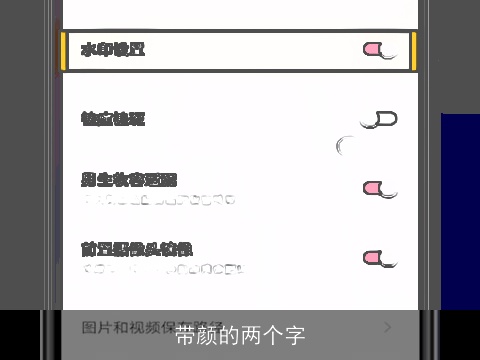 带颜的两个字