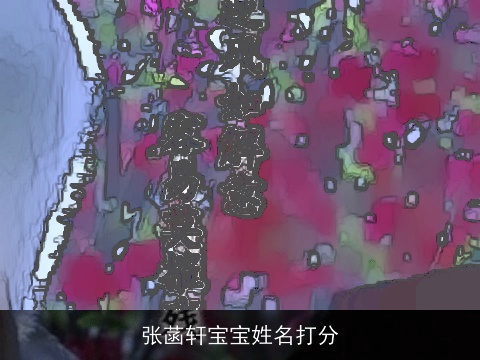 张菡轩宝宝姓名打分