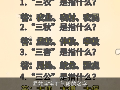 易姓宝宝有气质的名字