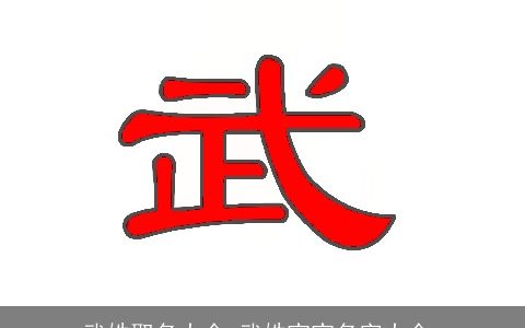 武姓取名大全,武姓宝宝名字大全,