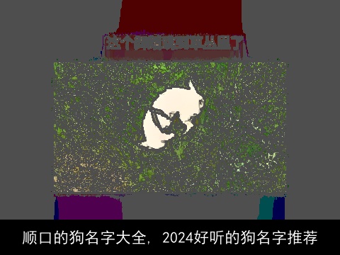 顺口的狗名字大全, 2024好听的狗名字推荐