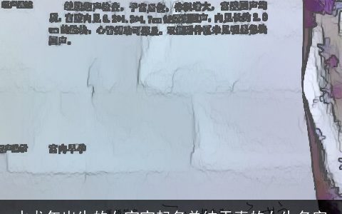 水龙年出生的女宝宝起名单纯天真的女生名字