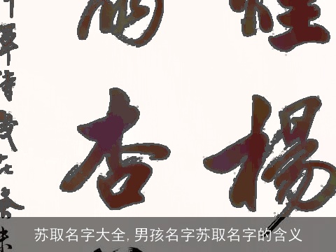 苏取名字大全,男孩名字苏取名字的含义