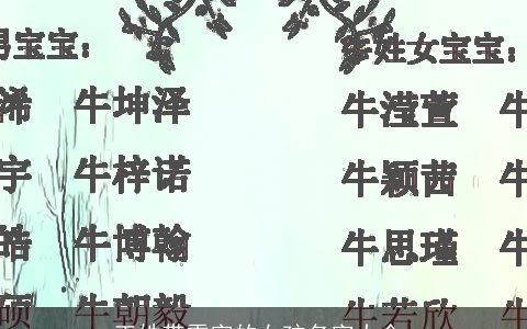 王姓带雯字的女孩名字大全,