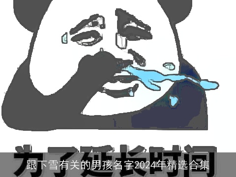 跟下雪有关的男孩名字2024年精选合集