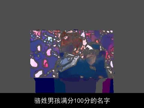 骆姓男孩满分100分的名字