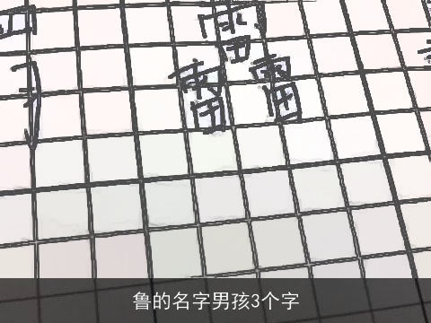 鲁的名字男孩3个字