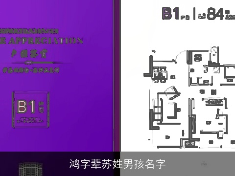 鸿字辈苏姓男孩名字