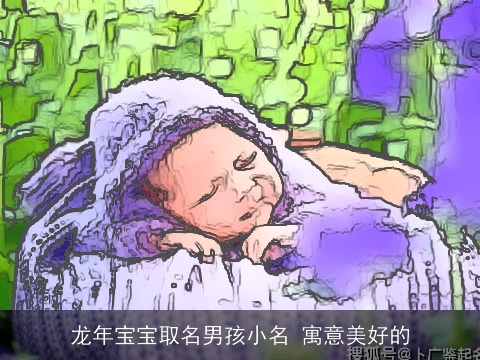 龙年宝宝取名男孩小名 寓意美好的