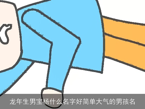 龙年生男宝杨什么名字好简单大气的男孩名