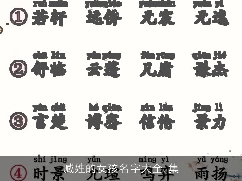 臧姓的女孩名字大全,集