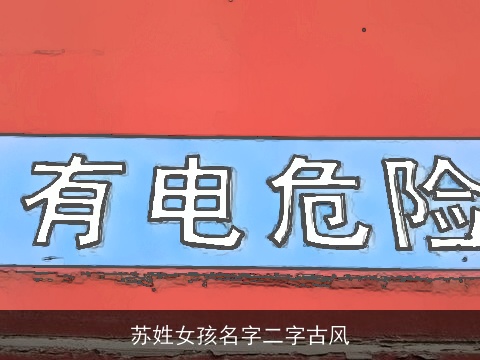 苏姓女孩名字二字古风