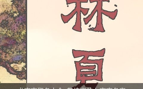 龙宝宝取名大全,带诗字的女宝宝名字